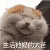640.webp (4).png
